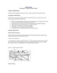Kebun moden 22 august 2020. Hidroponik