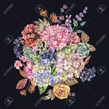 We did not find results for: Huge Watercolor Bouquet With Hydrangeas Wildflowers Autumn Leaves Blue Berries Lavender Natural Botanical Floral Greeting Card Isolated On Black Background Summer Flowers Stock Photo Picture And Royalty Free Image Image 131415825
