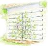 See more ideas about wisteria trellis, trellis, wisteria. 1