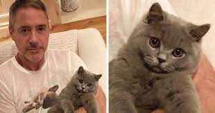 30 Celebs Who Are Well Known Cat People Bored Panda