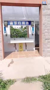 Chinese Girl Liu Ting Fucked In Public Toilet
