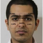 PDF) Gender Classification Based
