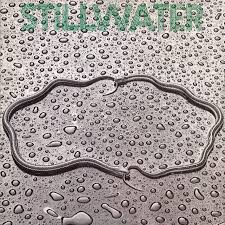 There are several towns named stillwater in the united states in reality, but none with only one l. Stillwater Collector S Edition Stillwater Amazon De Musik
