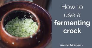 If you've never used a crock before, take a look at my article on the best fermentation crock for the aspiring fermentista! How To Use A Fermenting Crock