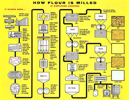 diagram of how flour is milled in 2019 sprouted grain