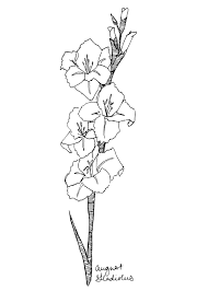 August Gladiolus Art Print Birth Flower Print Gladiolus Wall Art Botanical Art Print August Birthday Gift Flower Wall Art In 2021 Birth Flower Tattoos August Flower Tattoo Gladiolus Flower Tattoos