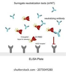 Image result for Neutralization Test