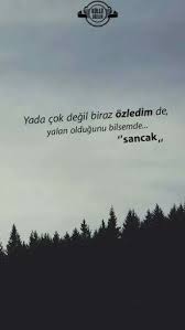 Sancak Ayrilik Sozleri Ozlu Sozler Sarkilar