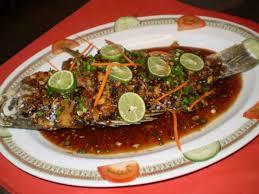 Sas rimba best fish farm floating restaurant in langkawi. Langkawi Fish Farm Restaurant Get Langkawi Fish Farm Restaurant Restaurant Reviews On Times Of India Travel