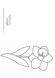 Daffodils coloring page for kids. Daffodil Colouring Pages