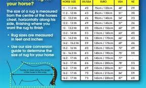 Horse Blanket Chart Getvca Co