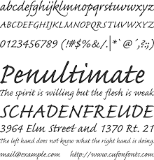 Font caflisch script regular font download free at fontsov.com, the largest collection of cool fonts for windows 7 and mac os in truetype(.ttf) and opentype(.otf) format. Caflisch Script Pro Font Download Free For Desktop Webfont
