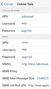 Your apn settings must be configured to 'internet' with username and type in 'internet' and leave your username and password blank. Setting Apn Telkomsel Intensivequantum