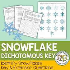 Snowflake Dichotomous Key For Classification A Flurry Of Wintertime Taxonomy Dichotomous Key Life Science Lessons Life Science Activities