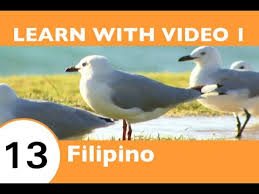 Birds Of The Same Feather Flock Together In Tagalog Learn Filipino With Video Birds Of A Feather Flock Together At Filipinopod101 Com Youtube