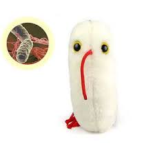Giant Plush Microbes Plush Microbes Giant Plush Plush