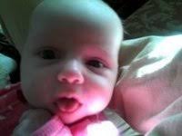 The Siegel Dispositions (Steve Stilwell #1) by David E. Grogan