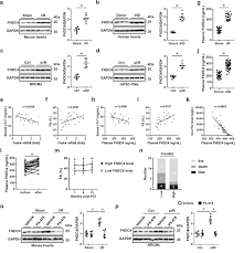 Image result for Aurora White 2010 HS