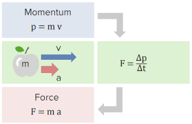 Momentum and Collisions | Concise Medical Knowledge