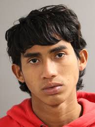 DIAZ GOMEZ, YEISON 21 HISPANIC M CHARGES: 720 ILCS 5.0/19-6-A-6 HOME  INVASION/SEX OFFENSE OFFENSE AS CITED 720 ILCS 5.0/11-1.50-A-1 CRIMINAL  SEXUAL ABUSE/FORCE OFFENSE AS CITED 720 ILCS 5.0/19-3-A BURGLARY