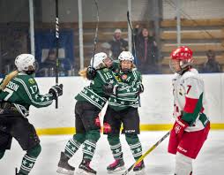 Follow the allsvenskan live football match between aik and hammarby if with eurosport. Bajen Damhockey Narmar Sig Sverigetoppen