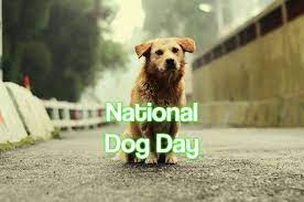 If your reply is positive to all the questions mentioned above, it means that you not what day hot dog day in 2021 is. National Dog Day 2021 When Where And Why It Is Celebrated