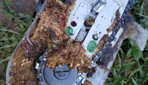 Maybe you would like to learn more about one of these? Fence Line Brush Killer Best Ground Sterilizer Review Buytoolbags