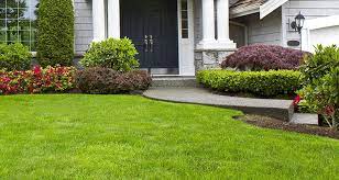 Garden lawn turf will make a strong, healthy, hardwearing lawn. Average Cost Of Laying Garden Turf