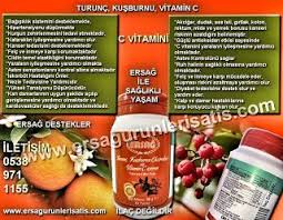 Ersag Hakkinda C Vitamini Kus Burnu Turunc Saglikli Olmak Saglikli Ve Kus