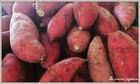 Strofinate le patate dolci sotto acqua corrente fredda utilizzando uno spazzolino. Patata Dolce Zuccherina La Cucina Pugliese Cucina Tipica Pugliese E Non Solo