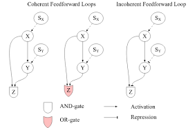 We have now placed twitpic in an archived state. Philosophy Of Cell Biology Stanford Encyclopedia Of Philosophy