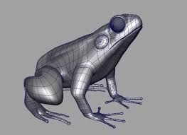 Making Of Frog Frog Art Toys Design Creature Design