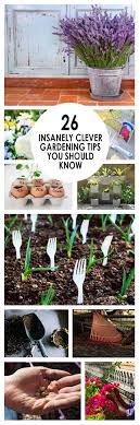 46 responses to 12 insanely clever gardening hacks. Pin On Gardening Tips Tricks
