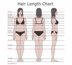 Hair Length Chart My Current Goal Is Armpit Length My Ultimate Goal Is Mid Back Length Hair Length Guide Hair Length Chart Hair Growth Charts