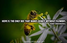 Bees are probably the most useful insects. Hope Is The Only Bee That Makes Honey Without Flowers Bee Quotes Bee Quotes