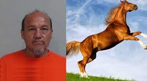 Disturbed Suspect Arrested Again for Serial Beastiality with Horses