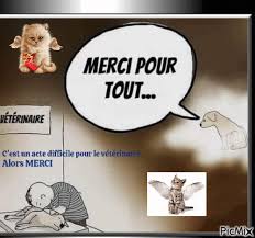 Nos vétérinaires & homéopathe