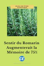 Epingle Sur Bienfaits Des Produits Naturels