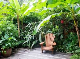 Landscaping And Hardscaping Tropical Garden Design Tropical Landscaping Tropical Garden