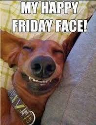 Everybody Post Ur Best Selfie On Pinterest And If I Find The Best One I Will Shout Out The Top Three Funny Friday Memes Funny Animals Friday Quotes Funny