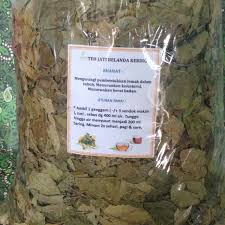 Guazuma ulmifolia atau daun jati belanda mengandung serat yang dapat melancarkan pencernaan, serta mengurangi penyerapan lemak dan gula. Teh Pelangsing Herbal Daun Jati Belanda Kering Kemasan 1 Kilo Shopee Indonesia