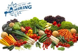 Profile for Scheid Produce, Inc.