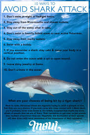 Maui Shark Info Sharks In Maui Hawaii Tiger Reef Mako