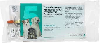It protects against canine distemper, adenovirus type 1 (hepatitis), adenovirus type 2 (respiratory disease), parainfluenza and parvovirus. Solo Jec 5 Dog Vaccine Boehringer Ingelheim Dog Vaccines Vaccines Pet