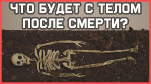 Edu Chto Proizojdet S Telom Posle Smerti Youtube