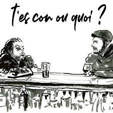 » posez toutes vos questions de langue je ne comprends pas comment on peut faire la confusion et elle est faite une fois sur deux ! T Es Con Ou Quoi Home Facebook