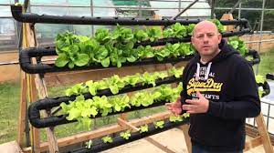 Chilli Farm Aquaponics Hydroponics Diy Nft System Setup Aquaponics Backyard Aquaponics Aquaponics System