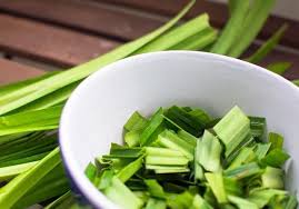 Hasil gambar untuk daun pandan