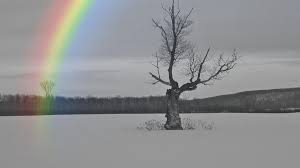 Znalezione obrazy dla zapytania rainbow black and white