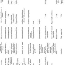 Pdf Solute Carrier Transporters As Potential Targets For The Treatment Of Metabolic Disease